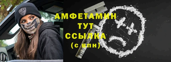 PSILOCYBIN Богданович
