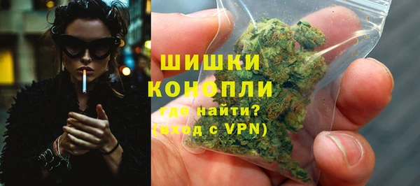 PSILOCYBIN Богданович